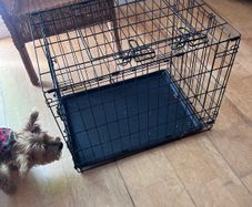 Free Foldable Dog/Cat Crate  Small/Medium