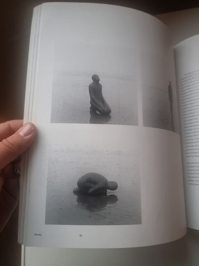 Antony Gormley by John Hutchinson, Lela B. Njatin, E. H. Gombrich and W. J. T. Mitchell