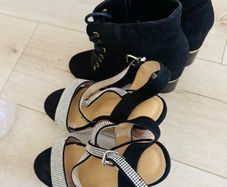 Free to Go Heels