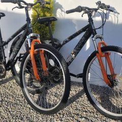 Matching Pair Of Bike 60 Each 100 The Pair