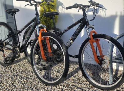 Matching Pair Of Bike 60 Each 100 The Pair