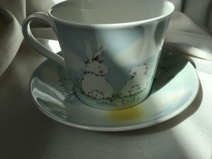 New Aynsley Breakfast Mug and Saucer in Rabbits Pet Collection