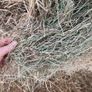 Hay bales Image 2