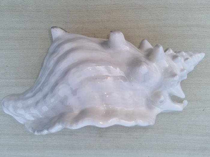 Atlantic Mold  ceramic planter in the shape of a seashell