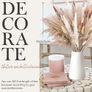 Fluffy Dried Flowers for Home Decor Image 7