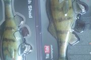 Savage Gear 4D Line Thru Perch Shad 23cm 168g