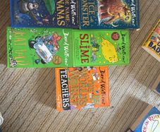 selection david walliams books