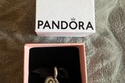 Pandora art charm