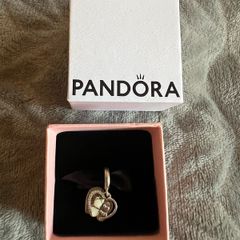 Pandora art charm