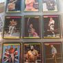 WWF Merlin Trading Cards full set of 96 Image 3