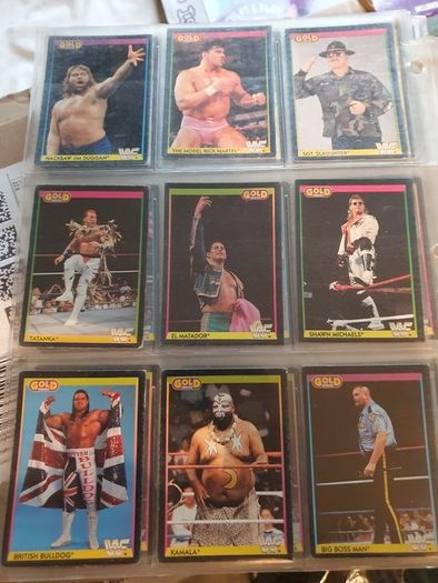WWF Merlin Trading Cards full set of 96