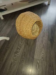 wicker cat bed