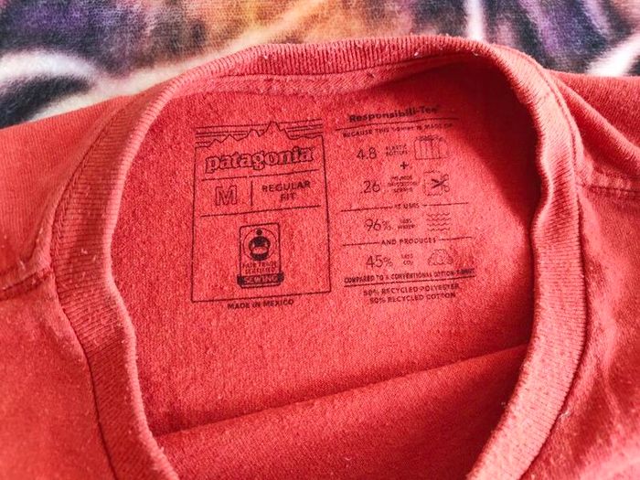 Patagonia t-shirt