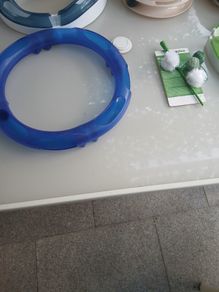 cat toys