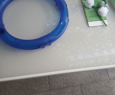 cat toys