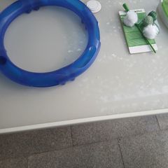 cat toys