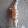 Life Size Flexible Knee Joint Anatomical Model Skelton Functional Ligament Medical Model in Perfect Condition Image 3