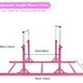 Double gymnastics bars Image 4