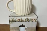 Brand New Acorn Mug