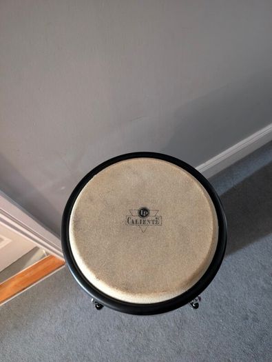 congas LP  26 & 29cm each