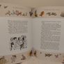 Enid Blyton, The Magical Collection storybook Hardback Book Image 8