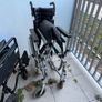 Two wheelchairs Image 2