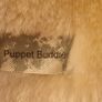 Dog  hand puppet Image 5