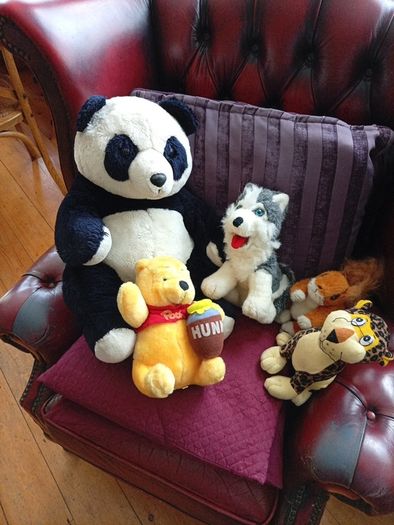 Teddys, soft toys, Teddy Bears.