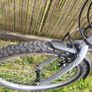 Bike Image 5