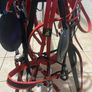 top mark harness Image 5