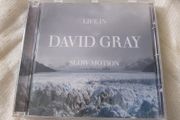 David Grey - Life in Slow Motion Cd