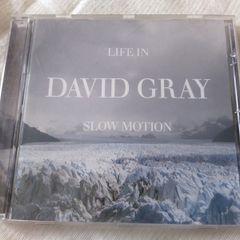 David Grey - Life in Slow Motion Cd