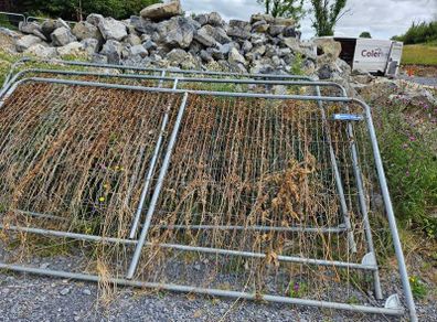 Fence Panels/ Harris Fence - FREE