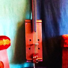 unique rustic cello