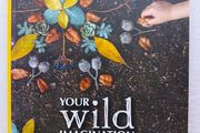Your Wild Imagination