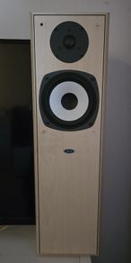 Standing speakers ( pair ) - good condition