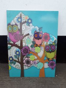 Owl picture