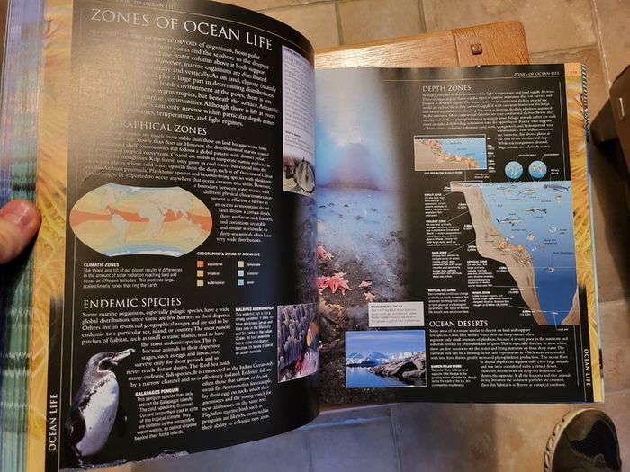 OCEAN - The Worlds Last Wilderness Revealed by Fabien Cousteau.