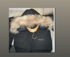 jacket winter