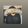 Canada goose Image 2