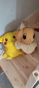 pokemon teddies