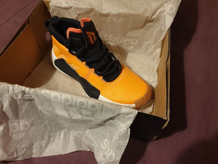Basketball trainers