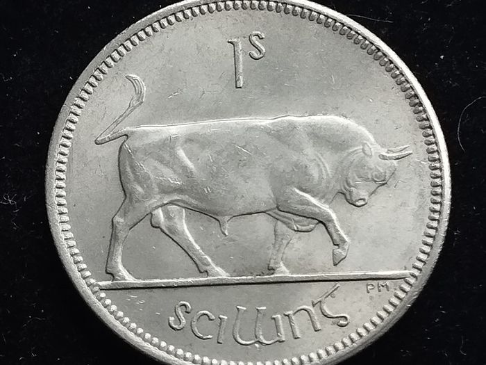 Ireland - 1966 - Shilling - Bull - KM.14a - [744]