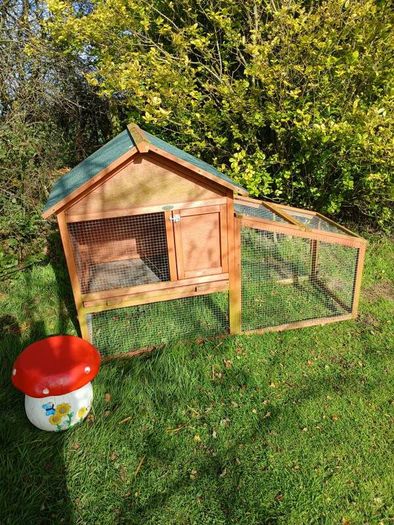 rabbit house