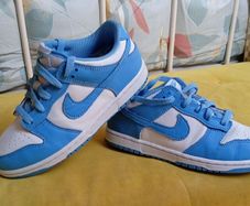 Nike Dunks ((Kids Brand New))