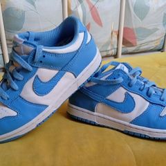 Nike Dunks ((Kids Brand New))