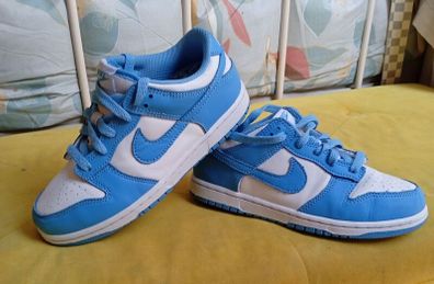 Nike Dunks ((Kids Brand New))