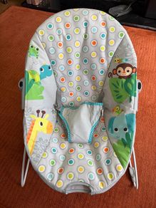 Baby bouncer free