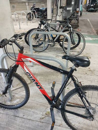 giant mountain bike