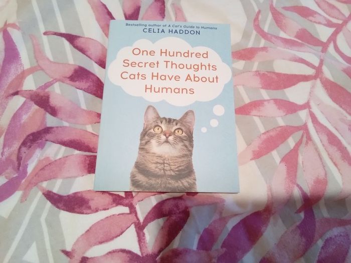 hundred secret thoughts cats have about humans  NEW